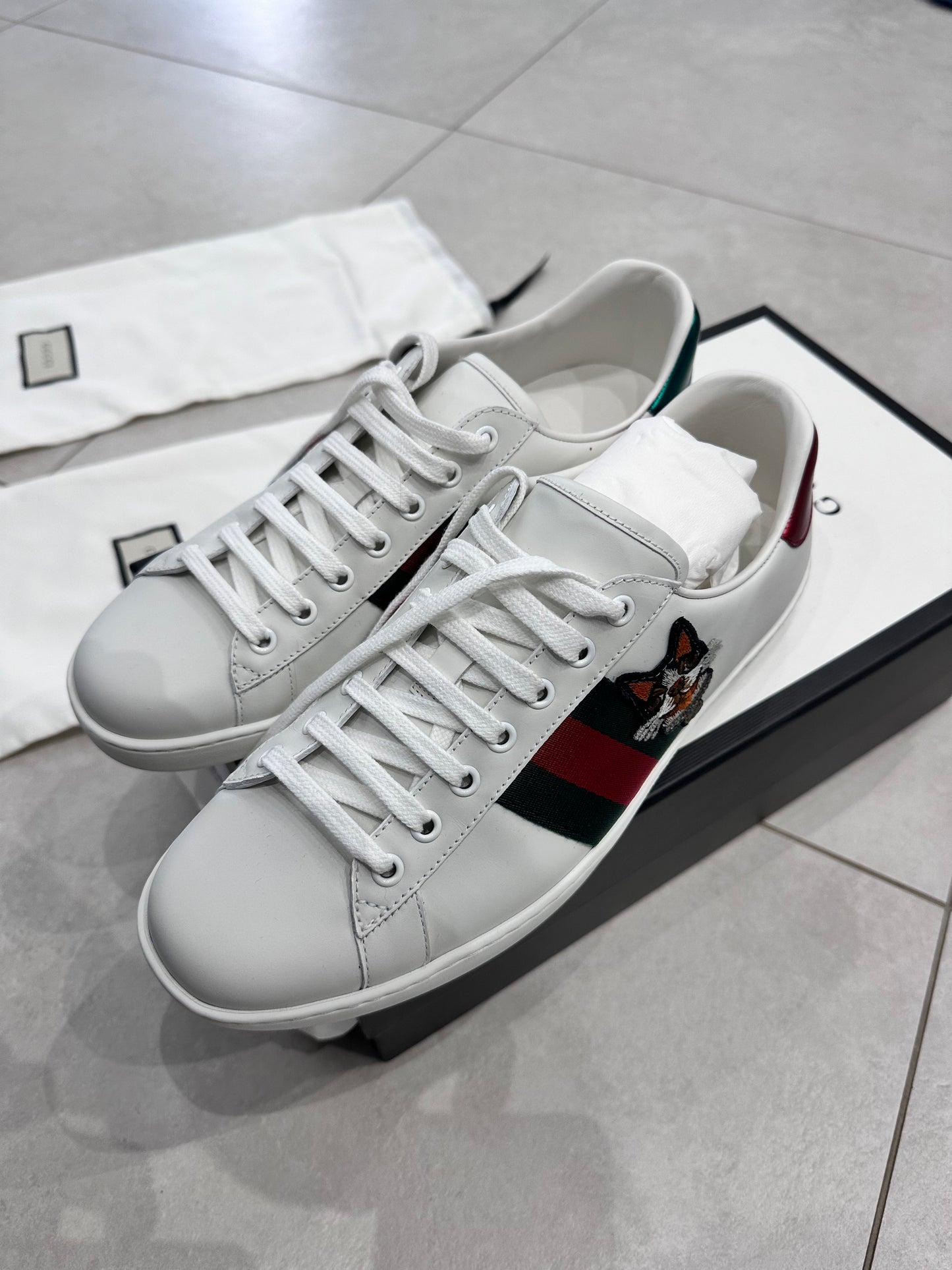 Sneaker gucci ace