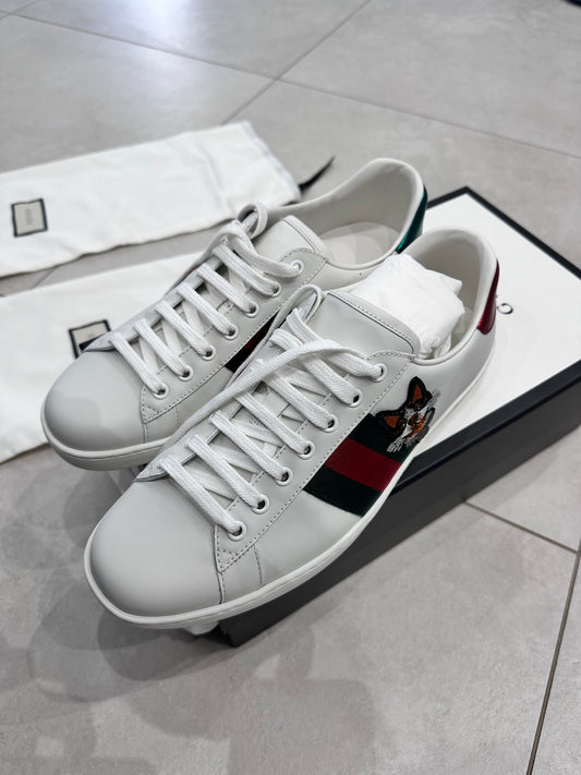 Sneaker gucci ace